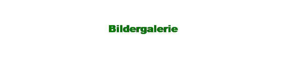 Textfeld: Bildergalerie
